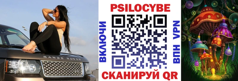 Галлюциногенные грибы Psilocybe  Купить  Солигалич 